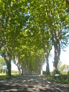 French countryside